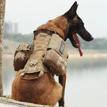 Military-Grade Adjustable Dog Harness - Durable Nylon Harness with MOLLE System; Padded Comfort for Training and Hiking