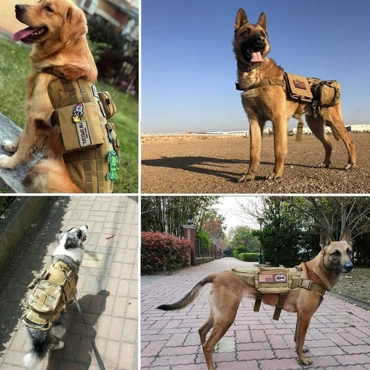 Military-Grade Adjustable Dog Harness - Durable Nylon Harness with MOLLE System; Padded Comfort for Training and Hiking
