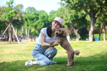 Cute Adjustable Cat and Dog Baseball Cap Canvas Cap With Ear Holes For Pet Dogs and Cats