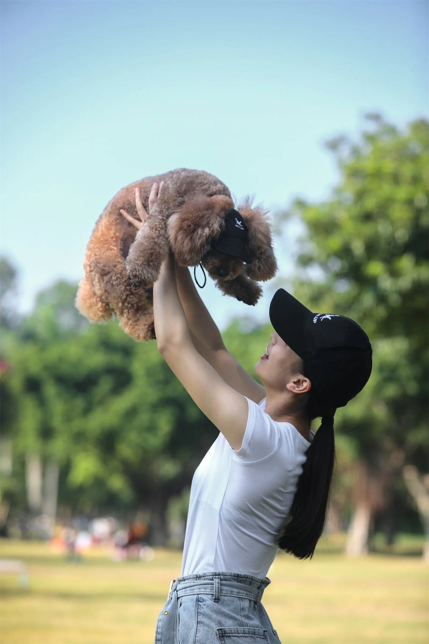 Cute Adjustable Cat and Dog Baseball Cap Canvas Cap With Ear Holes For Pet Dogs and Cats